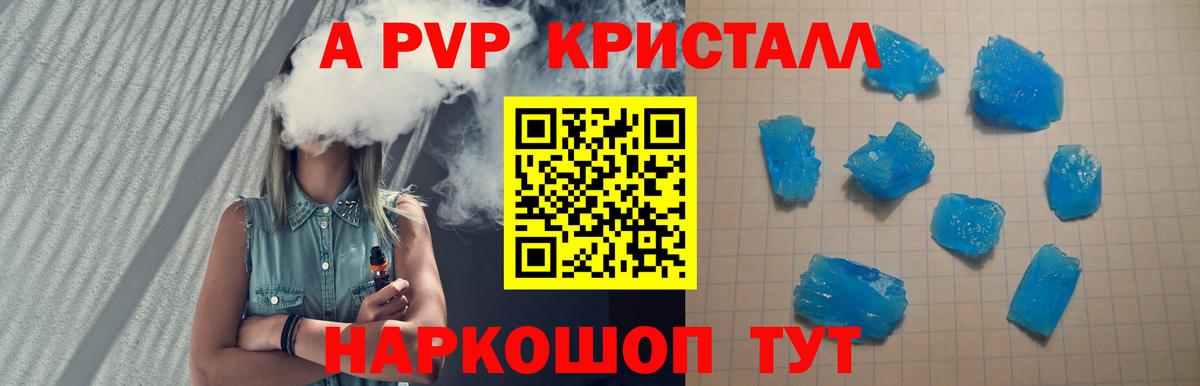 Альфа ПВП СК Дальнегорск